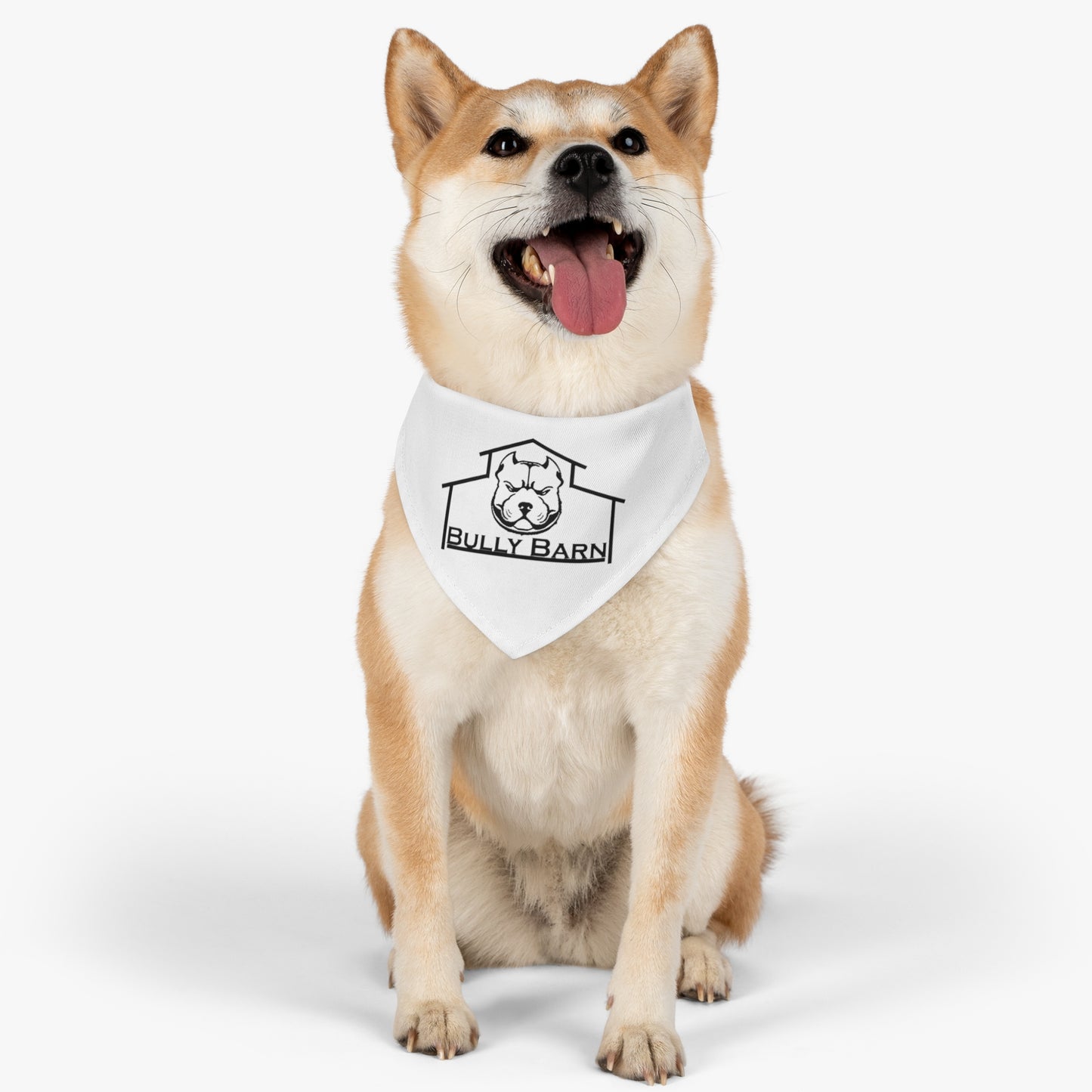 Bully Barn-Pet Bandana Collar