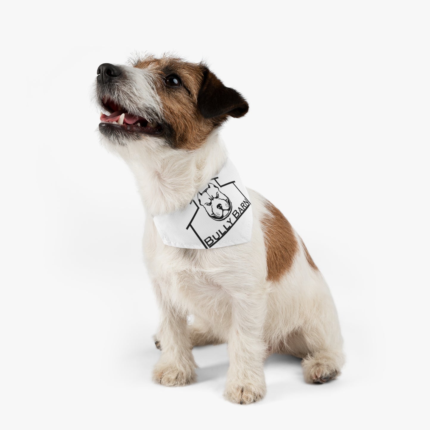 Bully Barn-Pet Bandana Collar