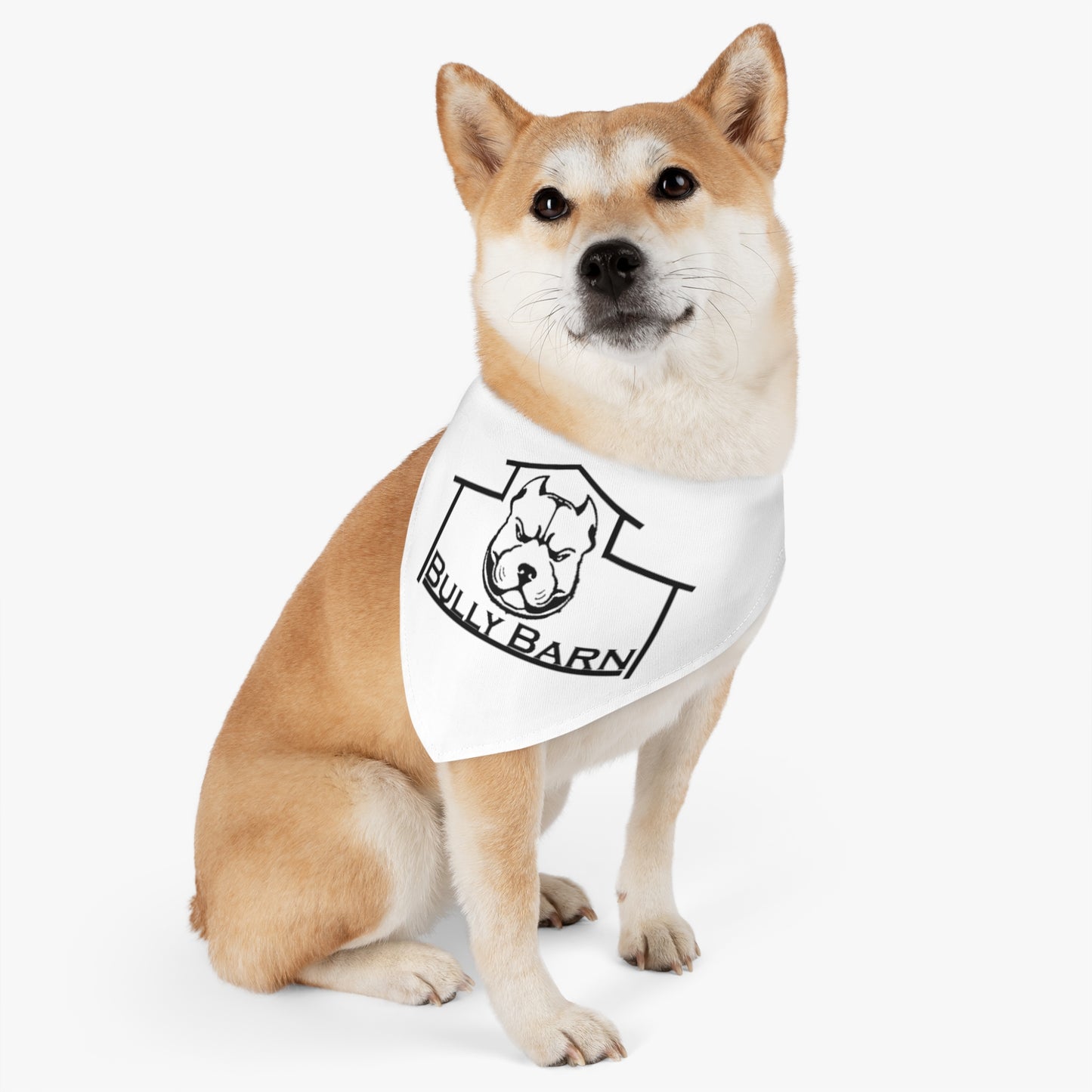 Bully Barn-Pet Bandana Collar