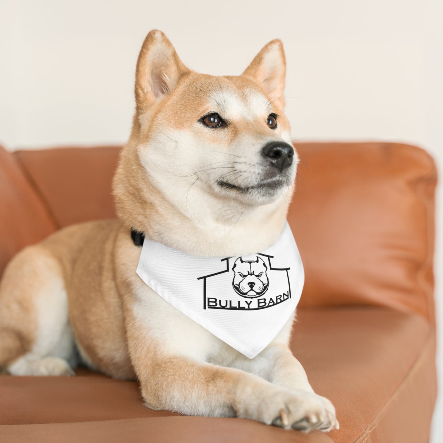 Bully Barn-Pet Bandana Collar