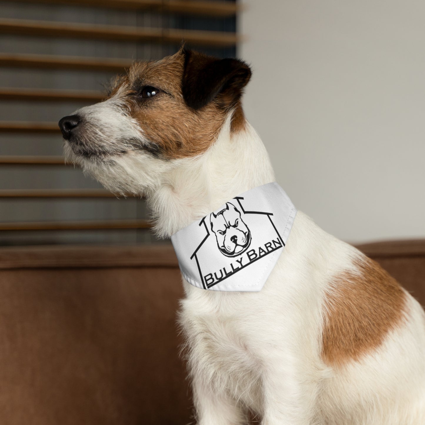 Bully Barn-Pet Bandana Collar
